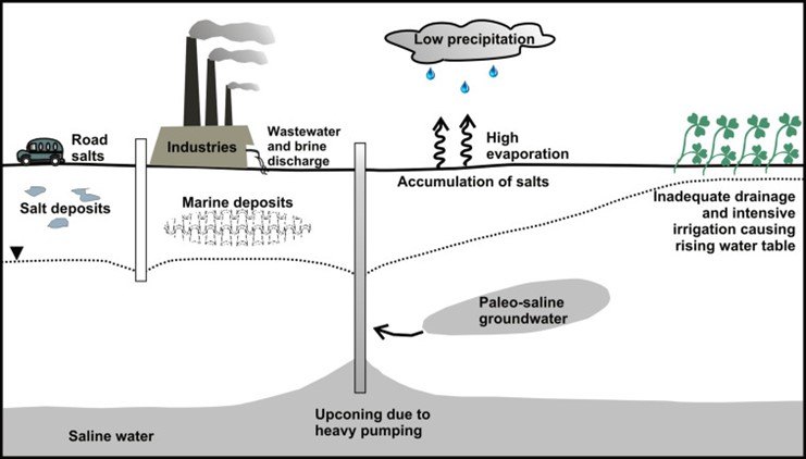 Illustration of how salt accumulates in soil and groundwater due to inadequate drainage, low precipitation, high evaporation, and industrial waste